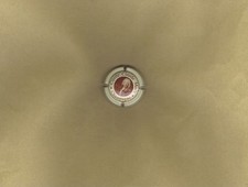 Capsule champagne moët d'occasion  Ambarès-et-Lagrave