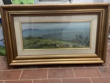 Olio tela paesaggio usato  Bologna