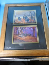 Wild turkey pictures for sale  Terre Haute
