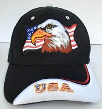 Eagle american flag for sale  Lewisburg
