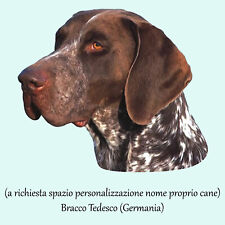 Adesivo sticker razze usato  Italia