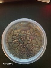 Grams tropical cory for sale  TROON
