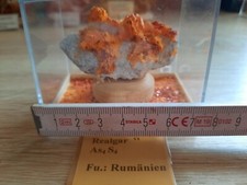 Sammlungsauflösung realgar xx gebraucht kaufen  Spremberg