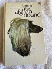 Afghan hound joan for sale  Lebanon