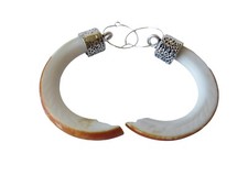 Beaver teeth tusk for sale  Parker