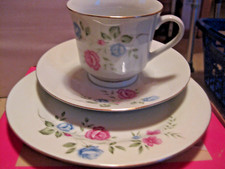 Kaffeeservice teilig blumenmus gebraucht kaufen  Heinsberg