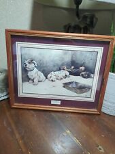 Jack russell terriers. for sale  BOLTON