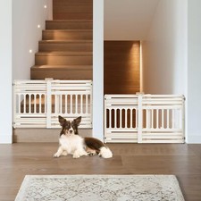 Iris usa dog for sale  USA