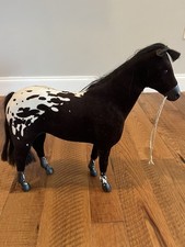 Kaya appaloosa mare for sale  Wrightsville