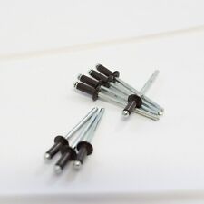 100 rivetti lamiera usato 100 rivetti lamiera usato  Valfenera