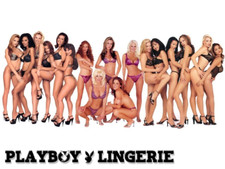 Playboy lingerie club for sale  Springfield