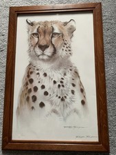 Cheetahs rest ralph for sale  LOWESTOFT