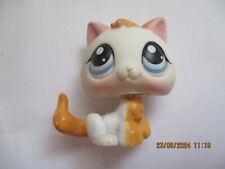 Petshop chaton 134 d'occasion Petshop chaton 134 d'occasion  Bailleul
