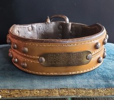 Vintage antique dog for sale  Boise