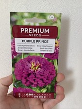 Graines zinnia fleurs d'occasion  Guipavas