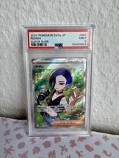 Pokemon tcg 2024 gebraucht kaufen  Sulzbach/Saar