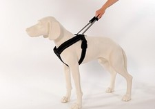 Patento pet sport gebraucht kaufen  Oberottmarshausen