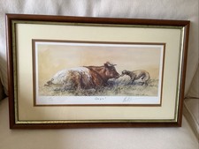 Mick cawston limited for sale  NOTTINGHAM
