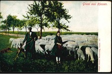 Gruss hessen schäfer gebraucht kaufen  Schwalmtal
