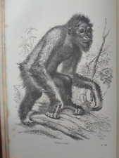 1869 natural history for sale  NORTHWICH
