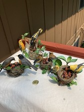 babies birds for sale babies birds for sale Hudson