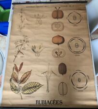 Ancienne affiche scolaire d'occasion  Olivet