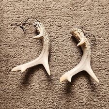 Lot deer antler for sale  Powhatan