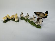 Schleich baby chicks for sale  Kenosha