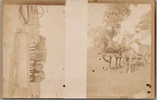 Cartão postal foto real 1919 RPPC duas cenas de fazenda vacas no cocho/carrinho de cavalo, usado comprar usado  Enviando para Brazil