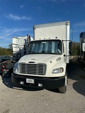 2019 freightliner box for sale  Willowbrook