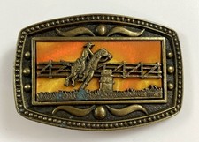 Barrel racing vintage for sale  Knoxville