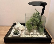 Acquario zen moderno usato  Italia