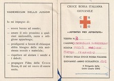 Tessera croce rossa usato  Ticengo