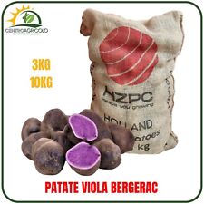 Patate semina viola usato  Monteforte Irpino