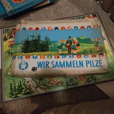 Wir sammeln pilze gebraucht kaufen  Neubrandenburg