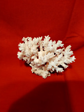 Collection branche corail d'occasion  Auriol