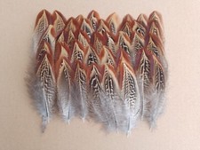 Pheasant mottled outer for sale  ALFORD