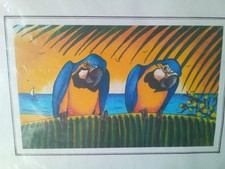 blue gold macaw for sale  CHEPSTOW