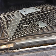 Medium humane animal for sale  CAMBRIDGE