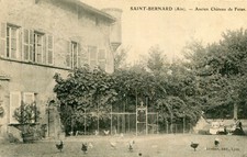 Carte saint bernard d'occasion Carte saint bernard d'occasion  Genillé