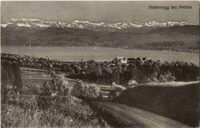 Hohenegg meilen 189842 gebraucht kaufen  Eimeldingen