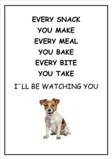Jack russell watching for sale  DUNSTABLE