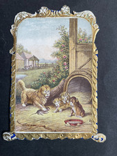dog puppies for sale dog puppies for sale NORWICH
