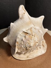 Pound horned helmet for sale  Saint Paul