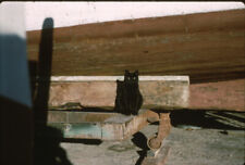 Diapositive photo 1960 d'occasion  Toulon-