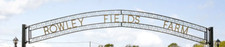 Iron gates top for sale  KETTERING