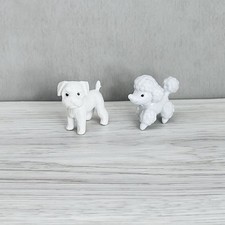 toy poodle puppy for sale toy poodle puppy for sale Glen Cove