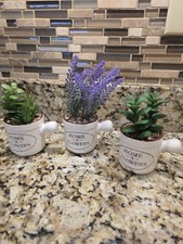 houseplants ceramics for sale  Kill Devil Hills