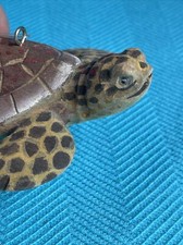 hermann tortoise for sale hermann tortoise for sale Appomattox