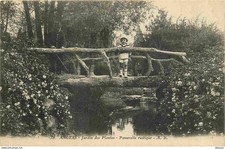 Angers jardin plantes d'occasion  Expédié en Belgium